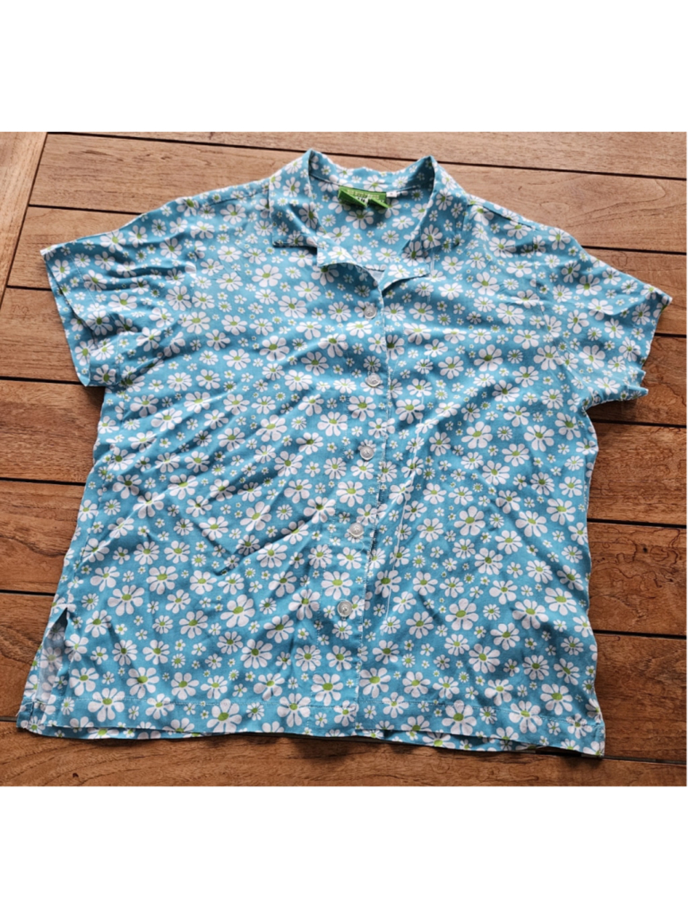 Rare Big Bud Press Lazy Daisy Pantry Button-Up Shirt - Blue Size S